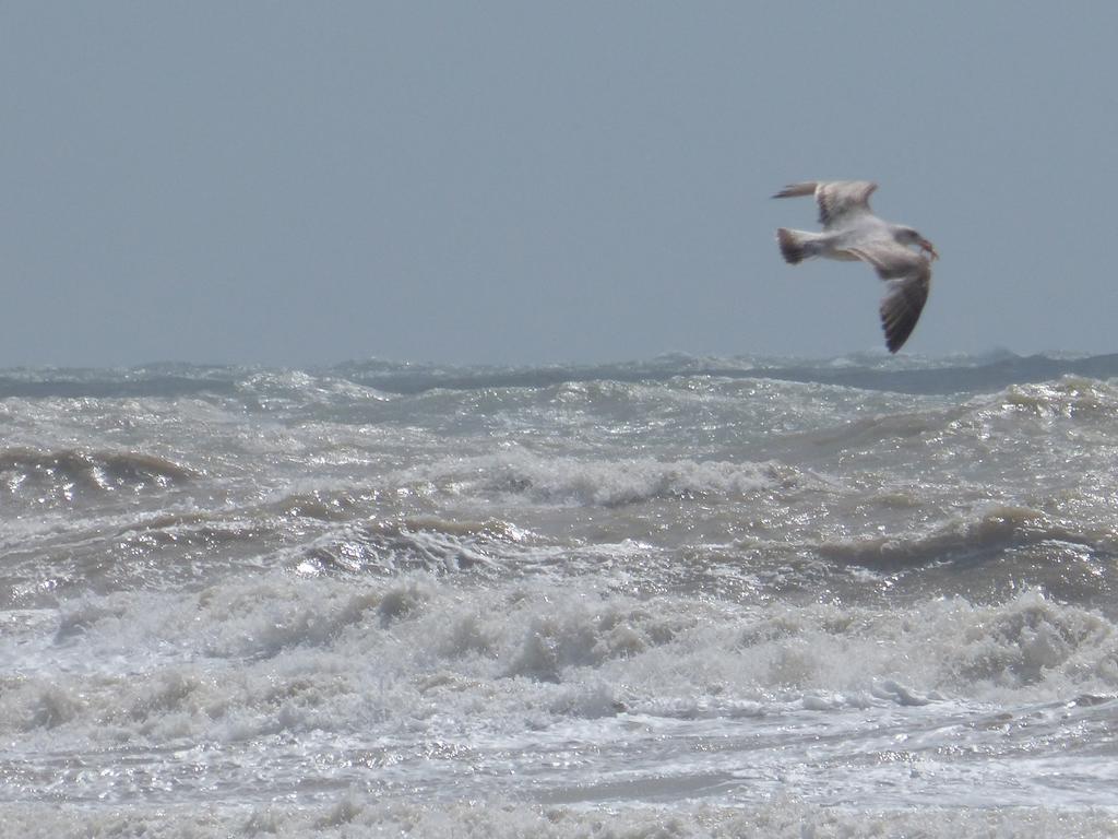 The Iverna Eastbourne Dış mekan fotoğraf